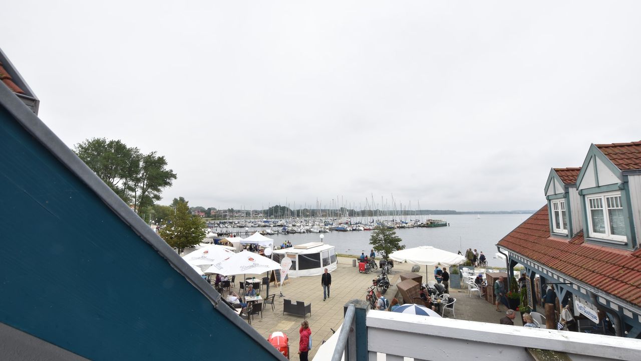 ViewSummer ViewSummer